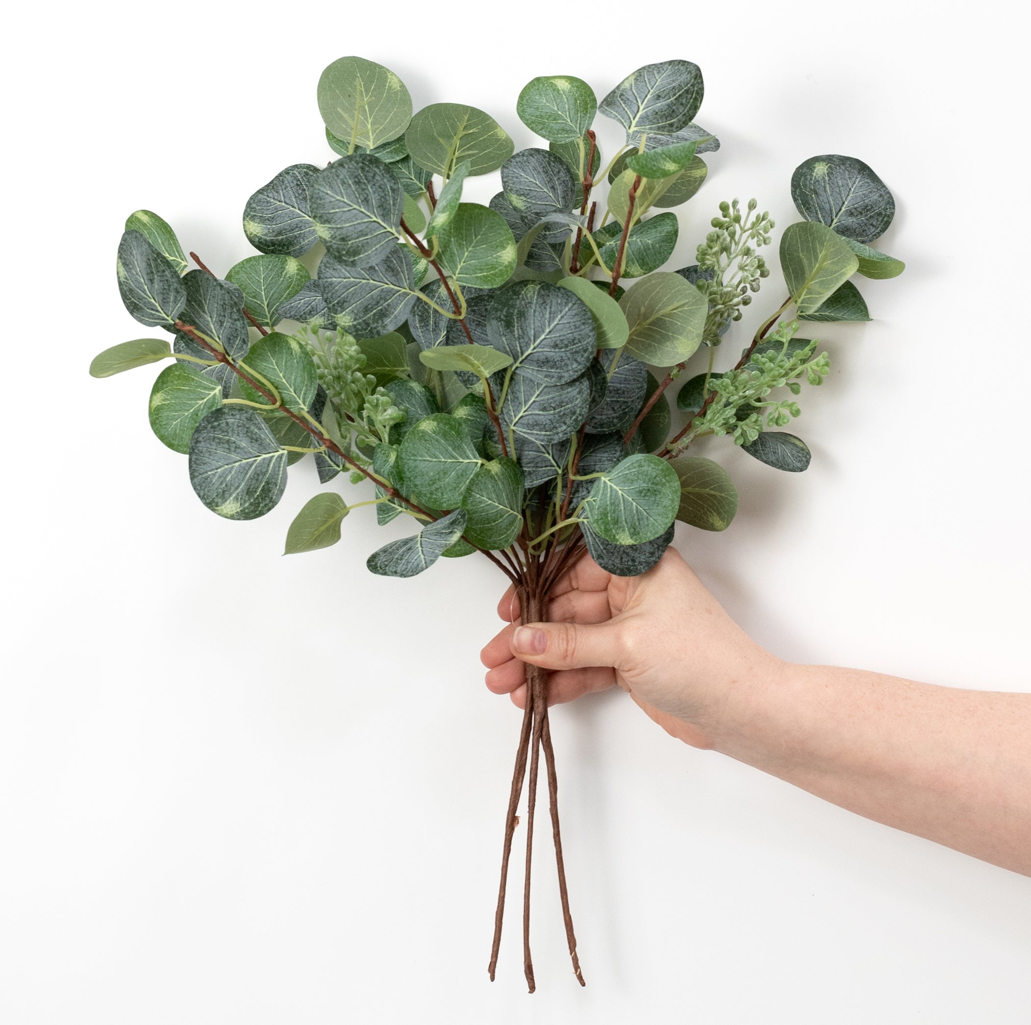 16" Silver Dollar Eucalyptus Leaves Bundle