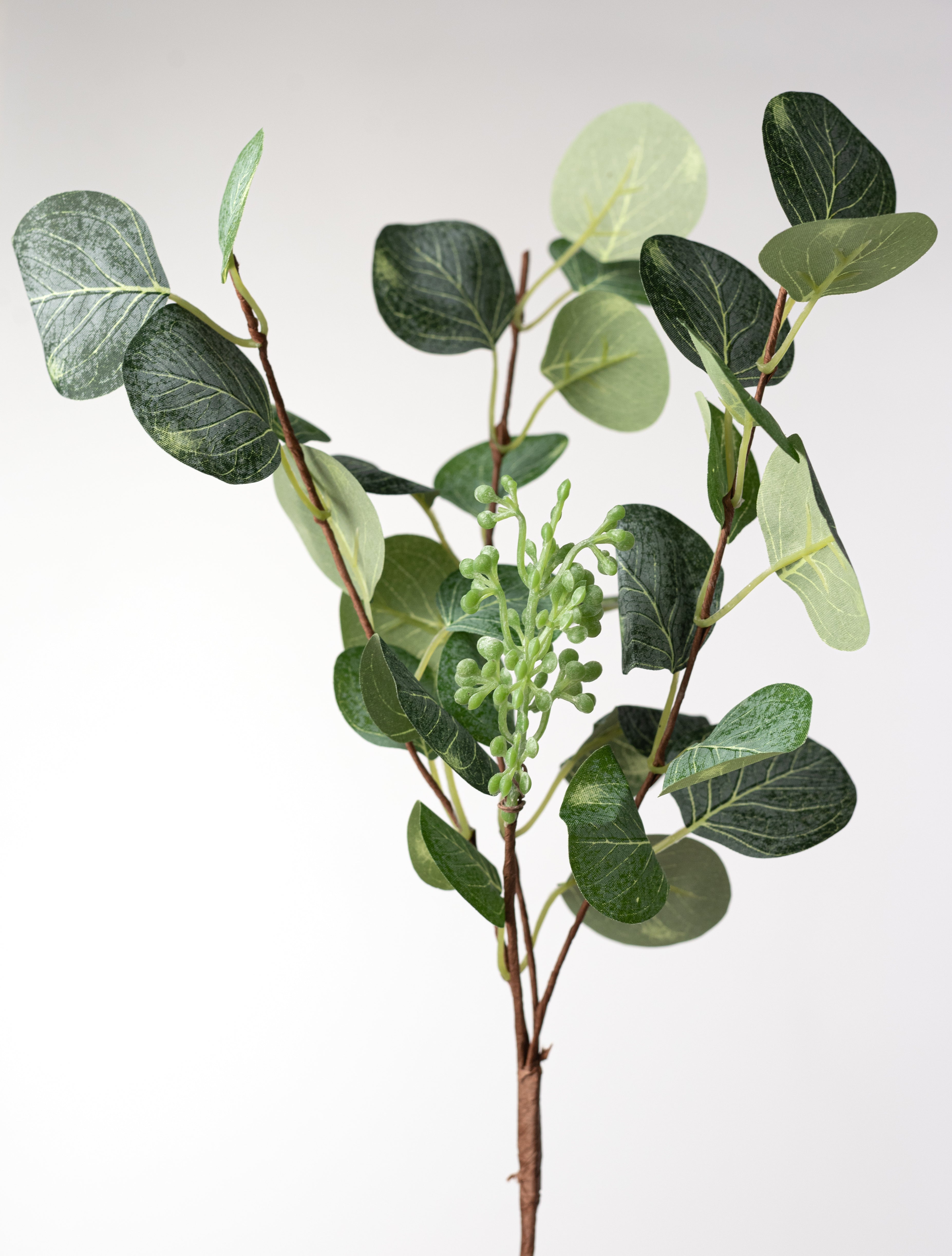 16" Silver Dollar Eucalyptus Leaves Bundle