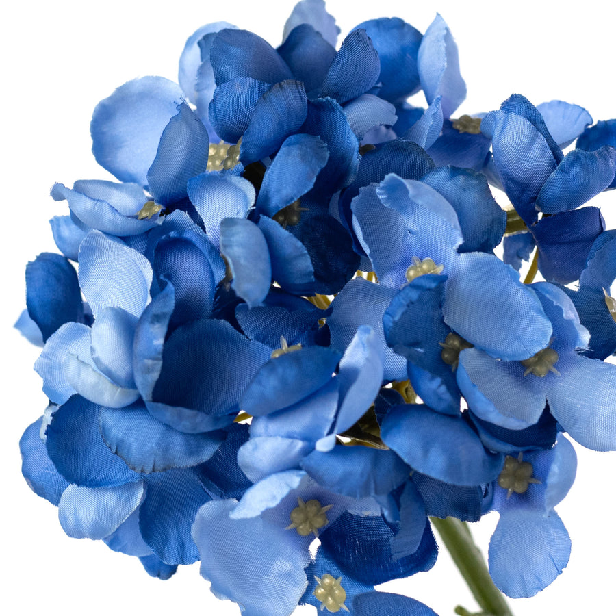 5" x 13" English Hydrangea Stem: Blue
