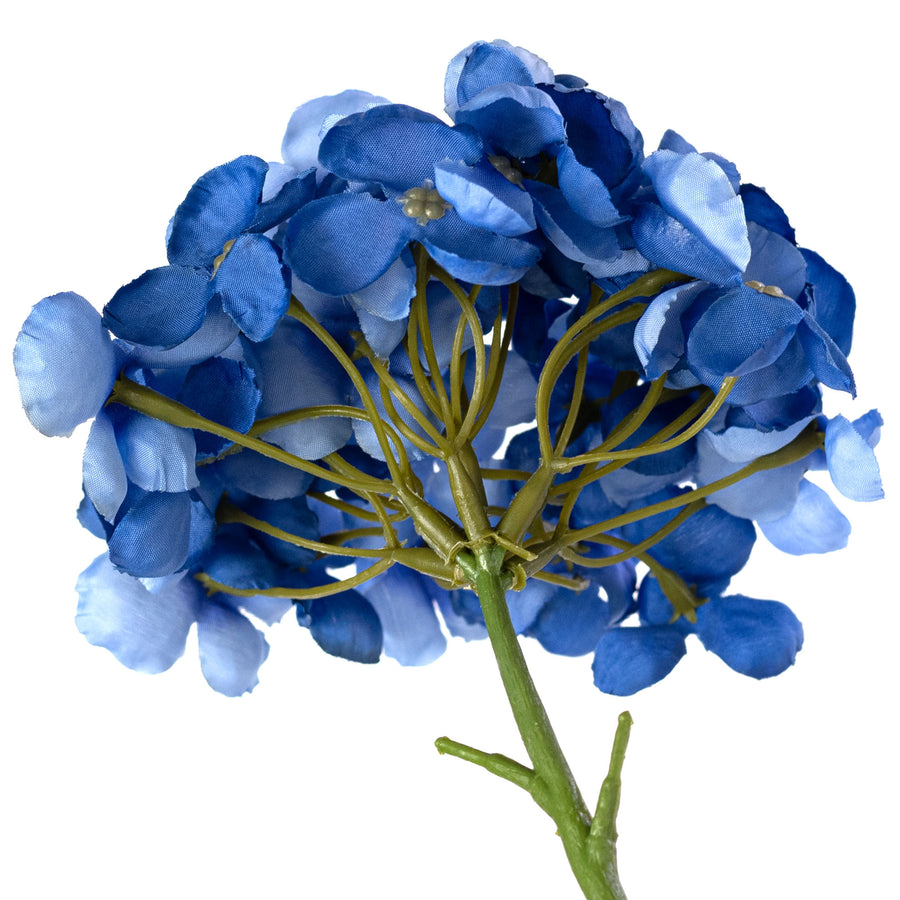 5" x 13" English Hydrangea Stem: Blue