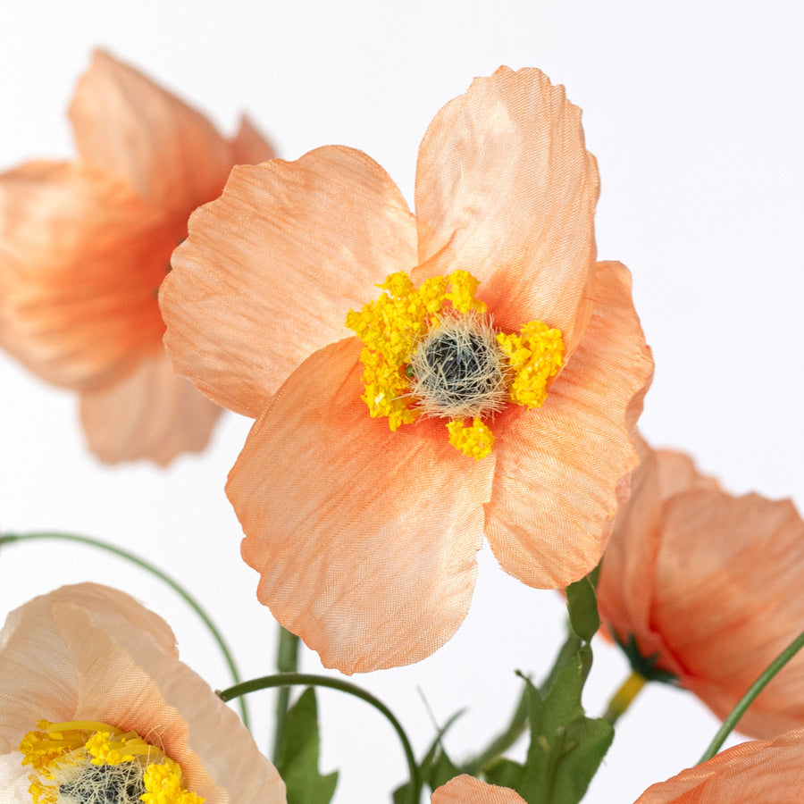 16" Wrinkle Poppy Stem Bundle: Peach