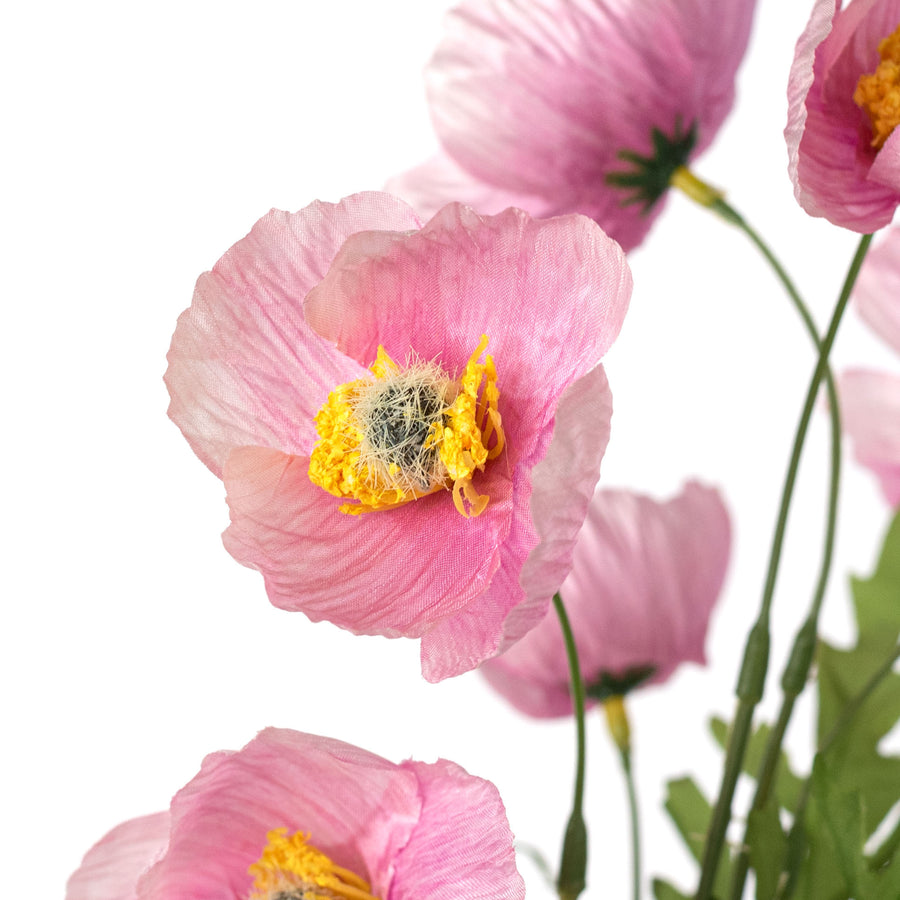 16" Wrinkle Poppy Stem Bundle: Pink