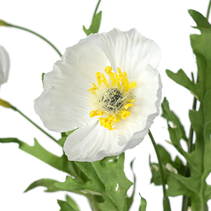 16" Wrinkle Poppy Stem Bundle: White