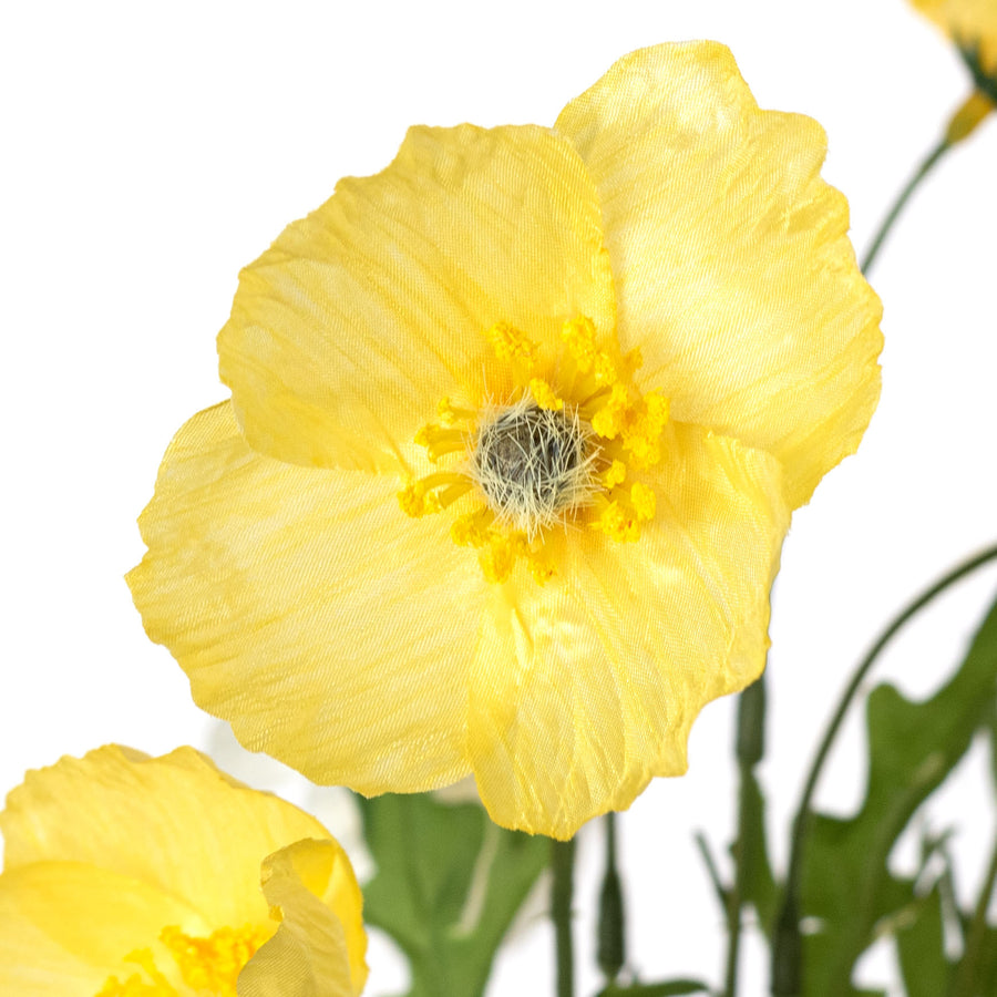 16" Wrinkle Poppy Stem Bundle: Yellow & Cream