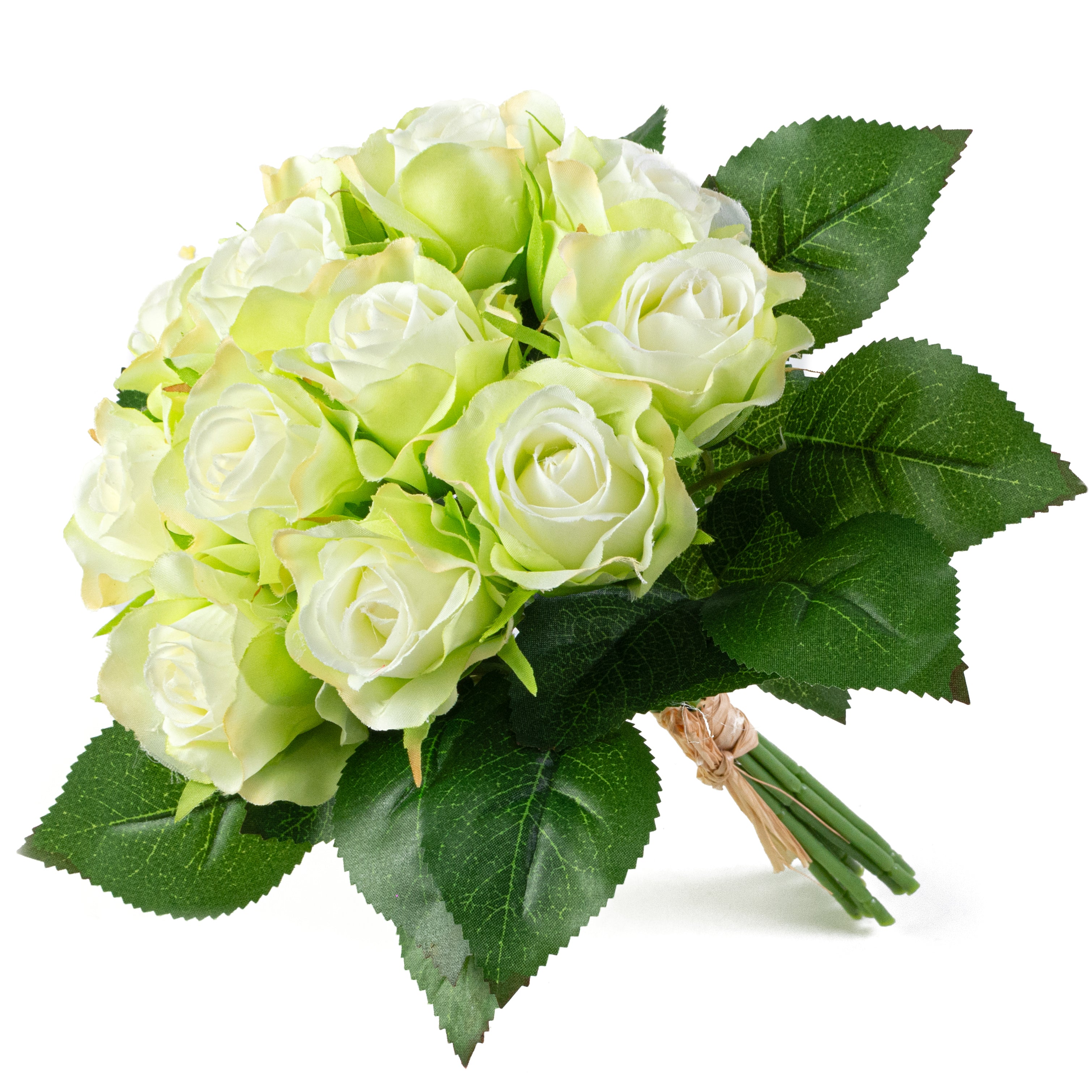 10" Melanie Rose Bouquet: Cream & Green (12 Stem)