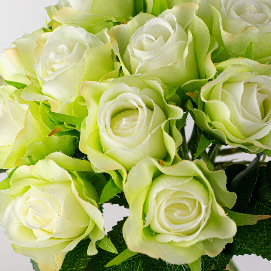 10" Melanie Rose Bouquet: Cream & Green (12 Stem)