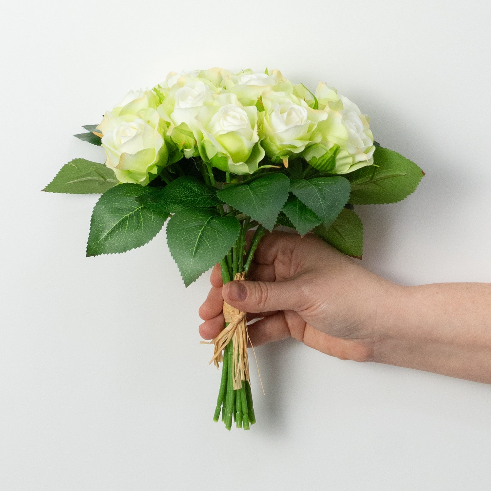 10" Melanie Rose Bouquet: Cream & Green (12 Stem)