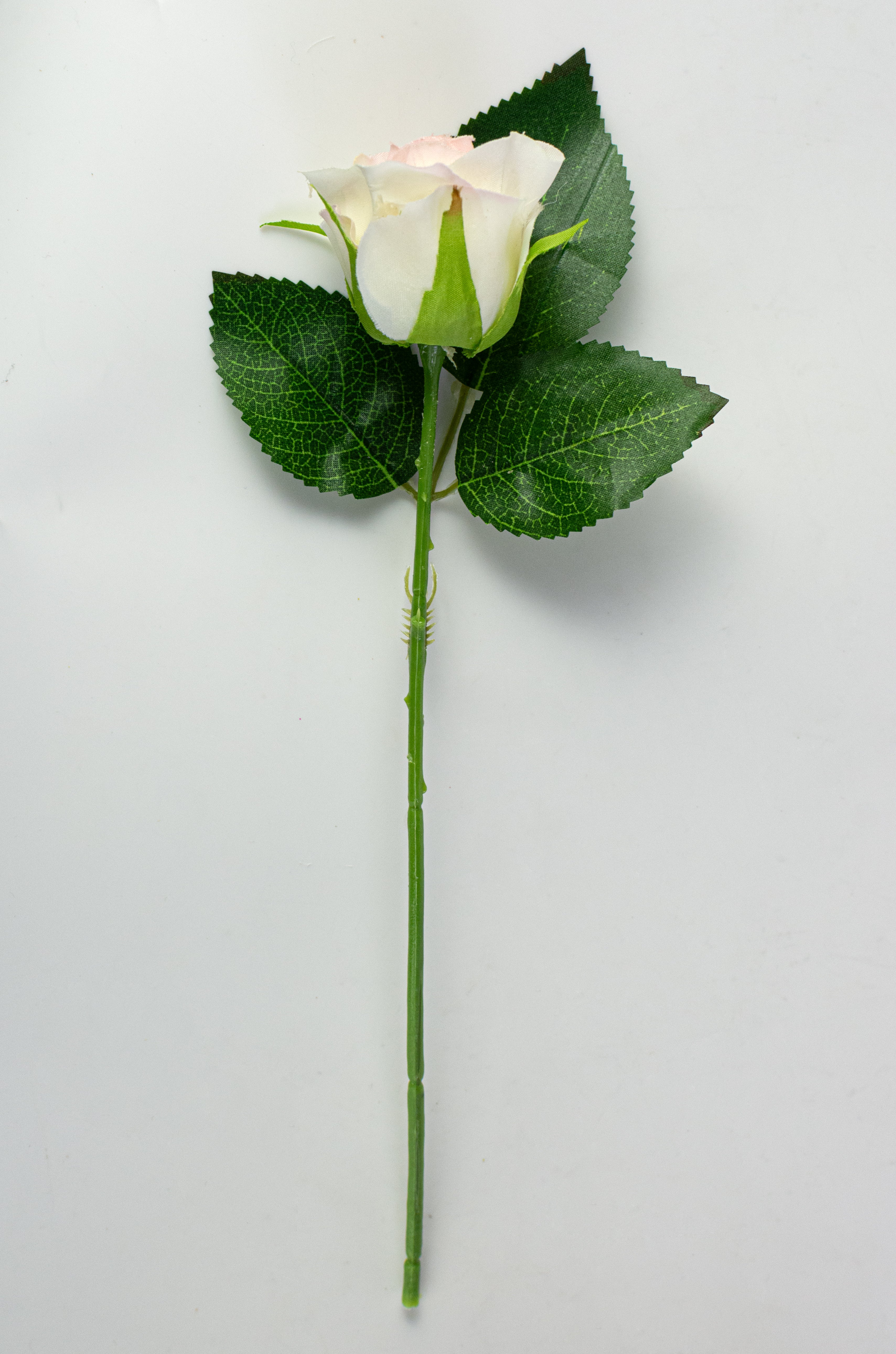 10" Melanie Rose Bouquet: Cream & Pink (12 Stem)