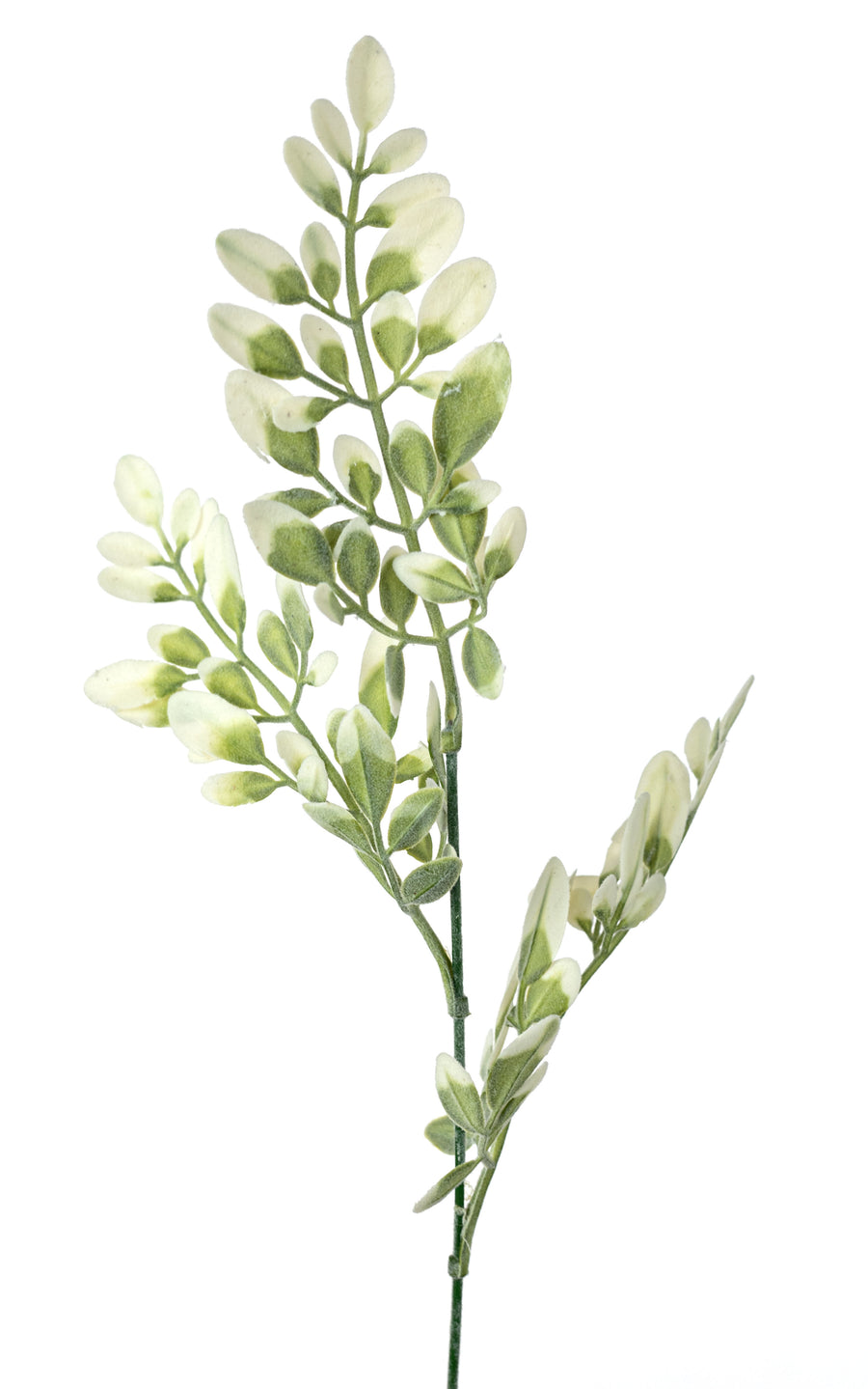 23" Plastic Flocked Hemlock Bush: Cream & Green