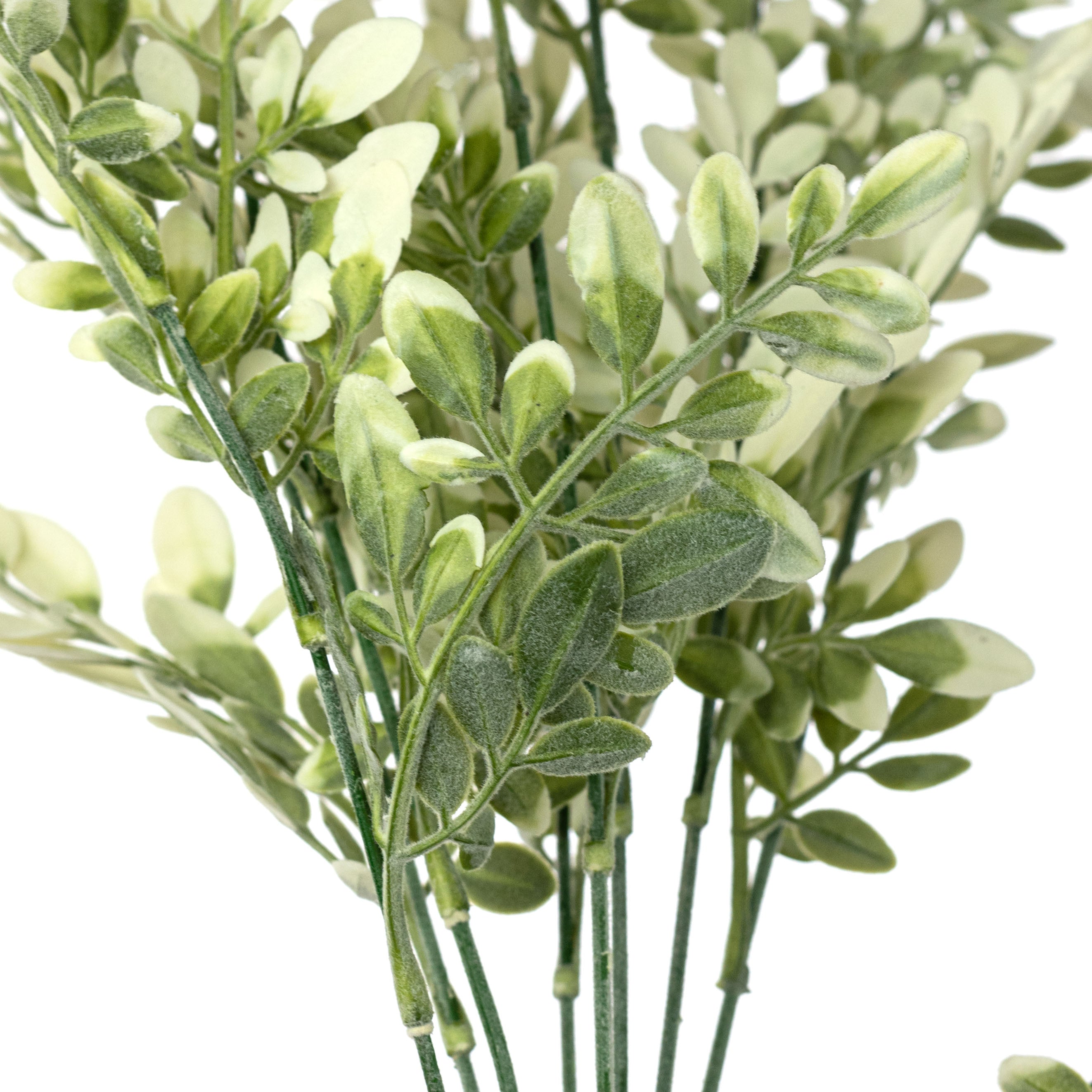 23" Plastic Flocked Hemlock Bush: Cream & Green