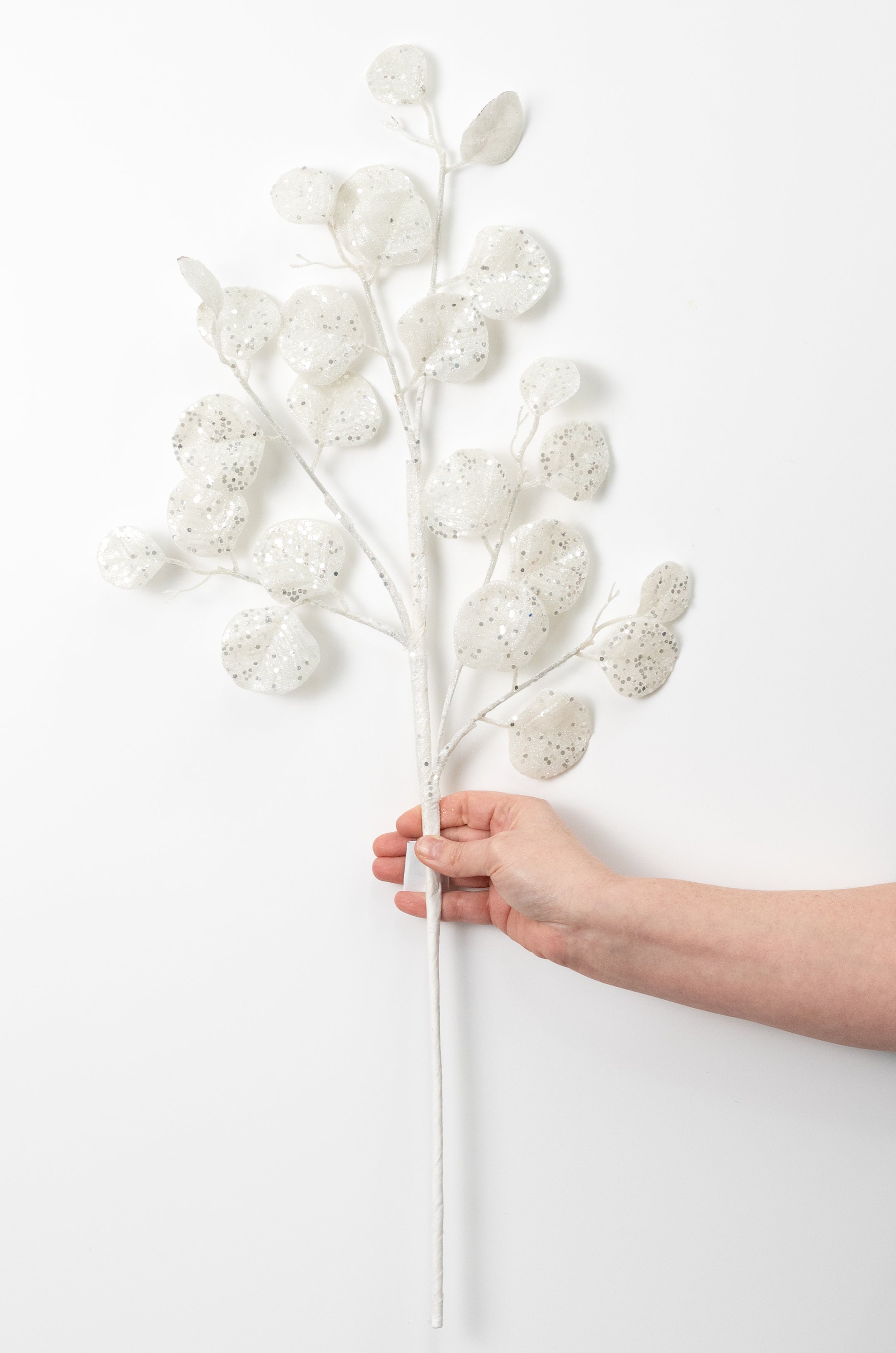 28" Glitter Silver Dollar Eucalyptus Spray: White