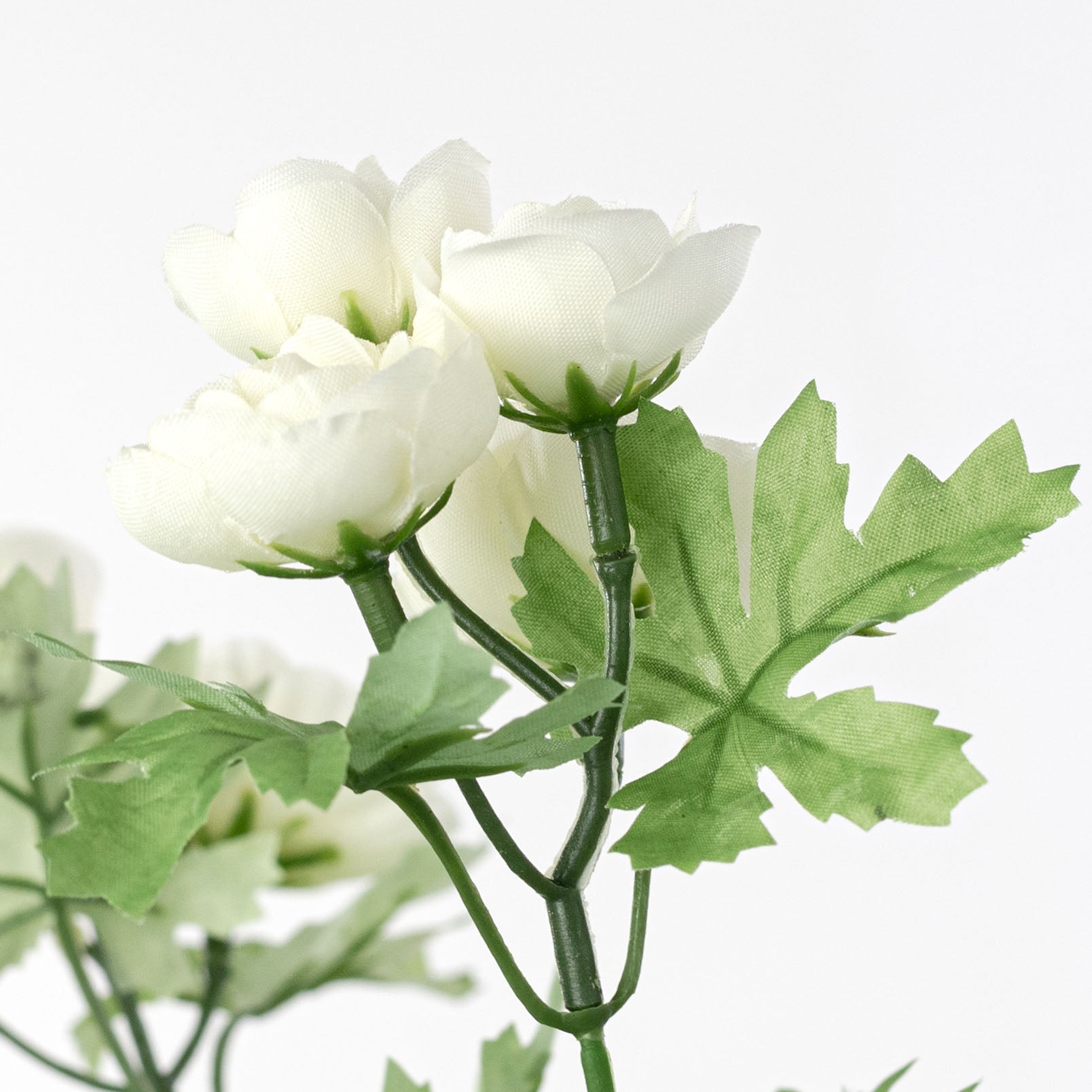16" Mini Ranunculus Bush: Cream (9 Stem)