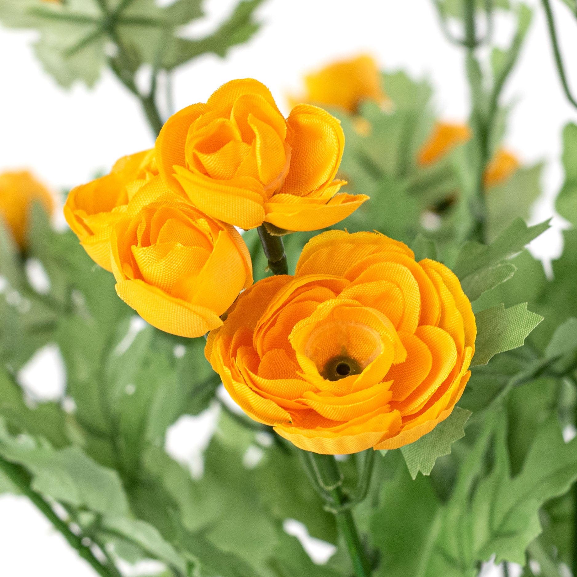 16" Mini Ranunculus Bush: Golden Yellow (9 Stem)