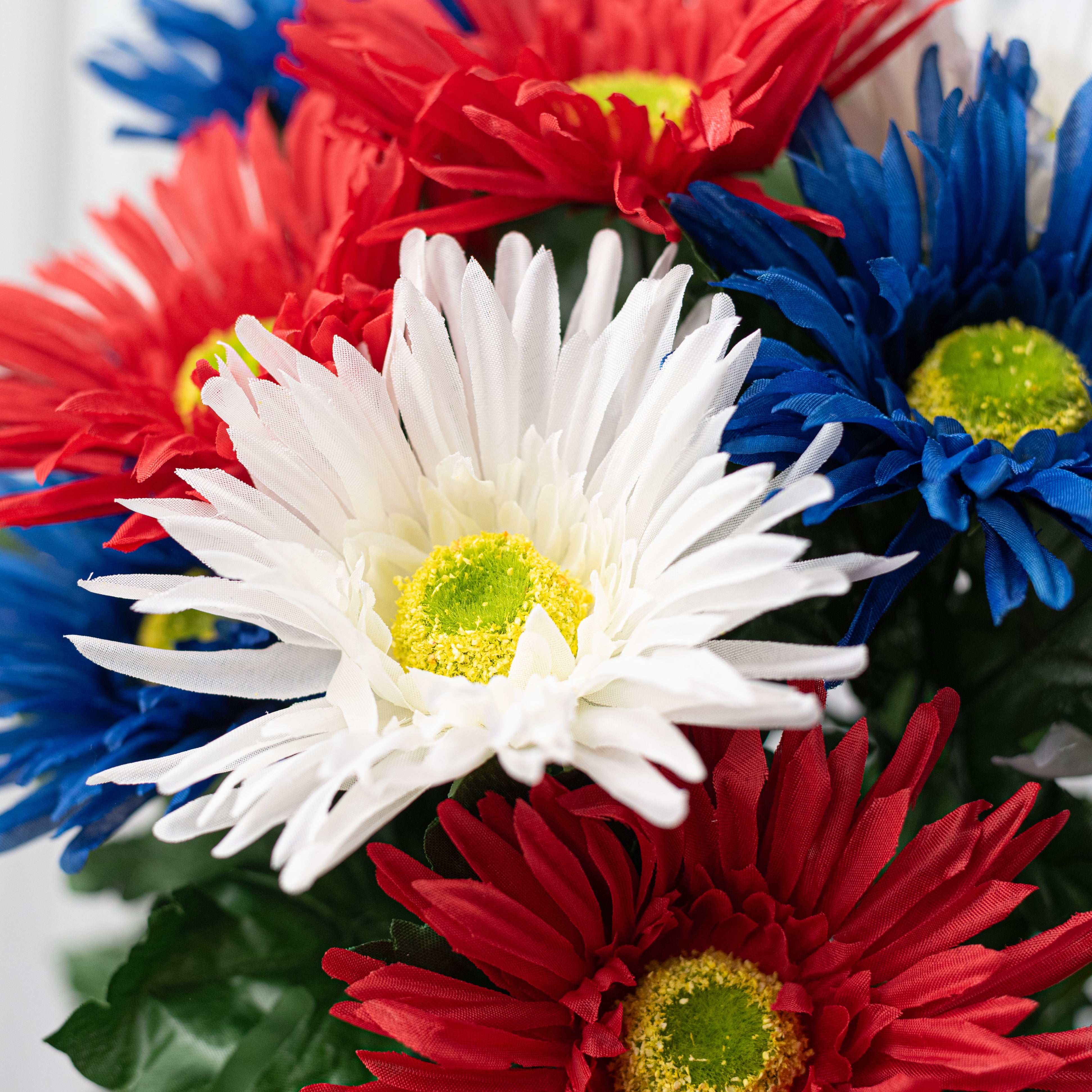 19" Daisy Mum Bush: Red, White & Blue (12 Stem)
