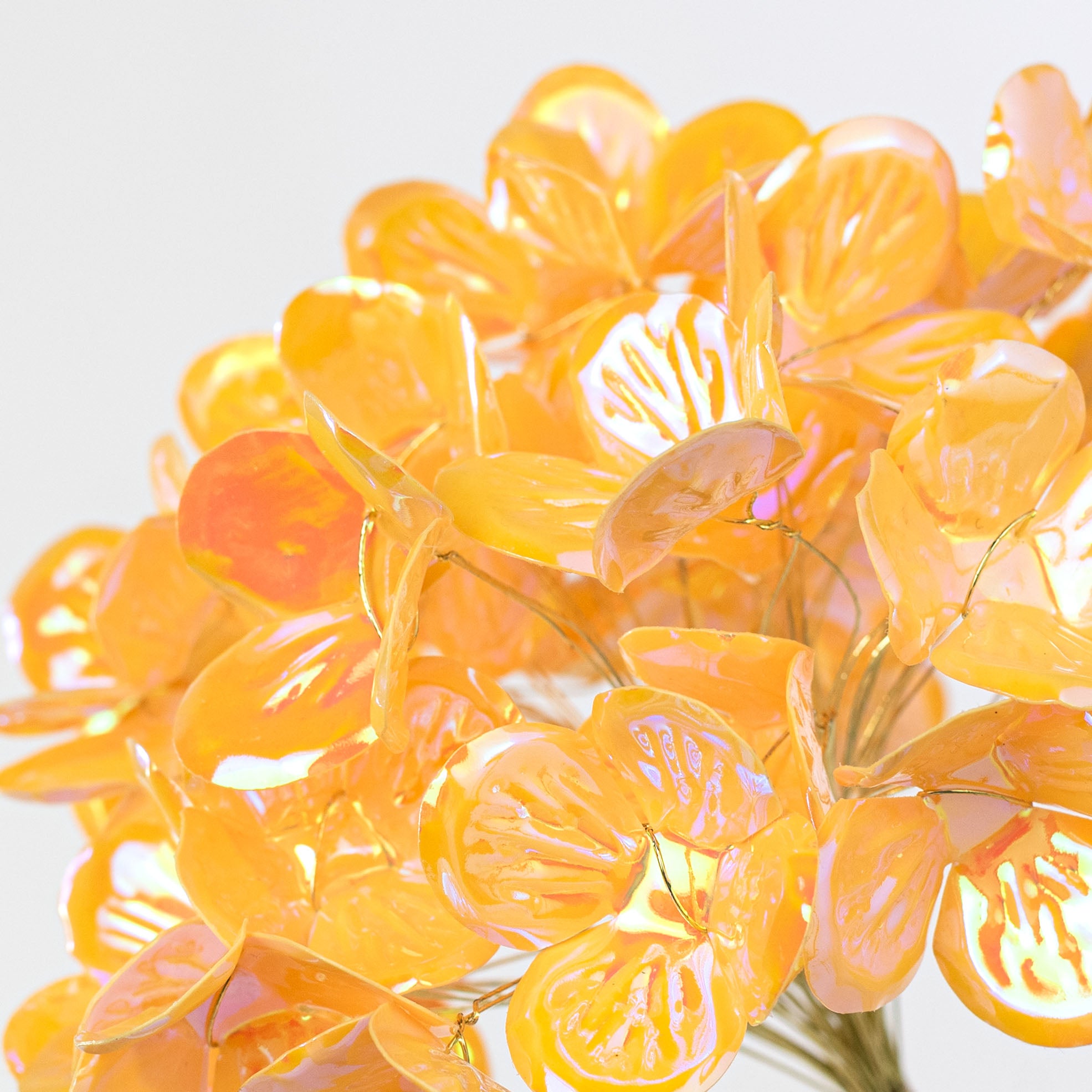 ✻originalcoloringHydrangea✻ 6
