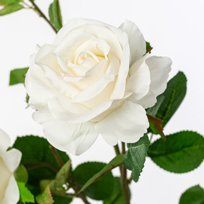 30" Roses Bud, Blooms & Leaves Spray: Cream