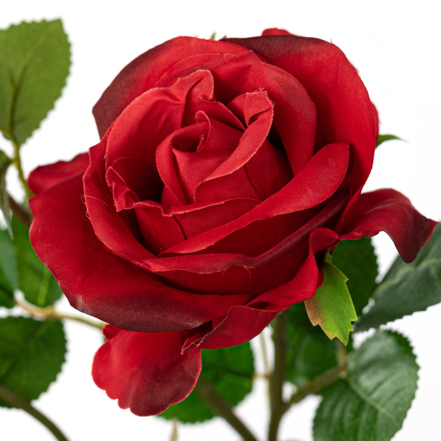 30" Roses Bud, Blooms & Leaves Spray: Red