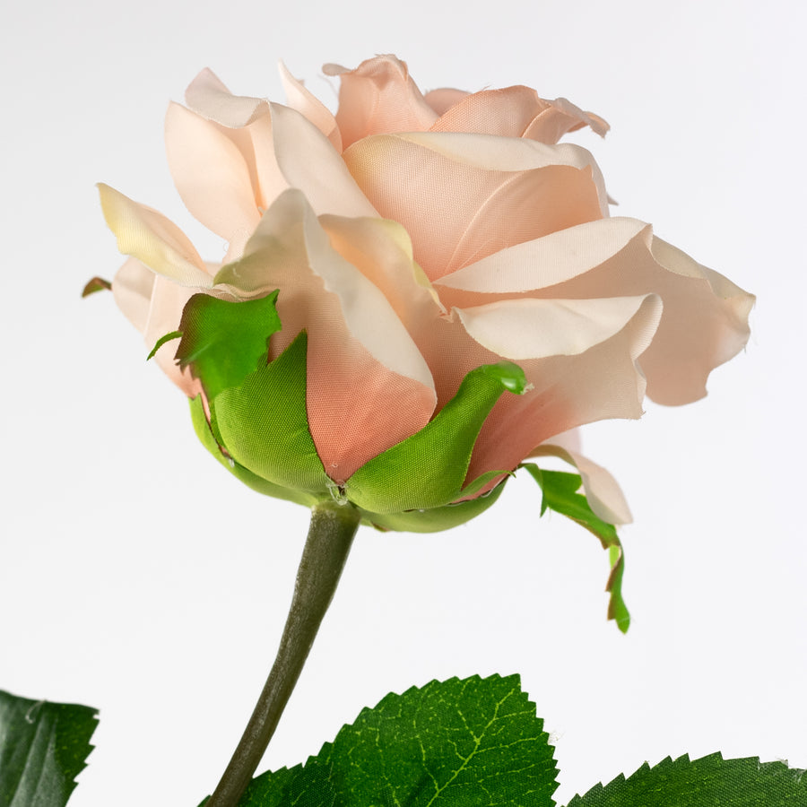 30" Roses Bud, Blooms & Leaves Spray: Blush Pink