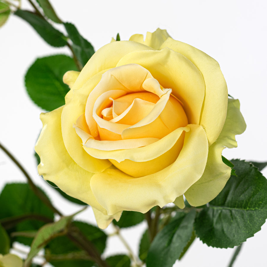 30" Roses Bud, Blooms & Leaves Spray: Yellow