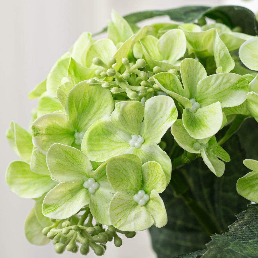 17" Hydrangea Bush: Green (5 Stem)
