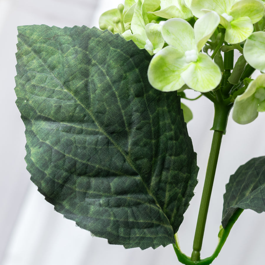 17" Hydrangea Bush: Green (5 Stem)