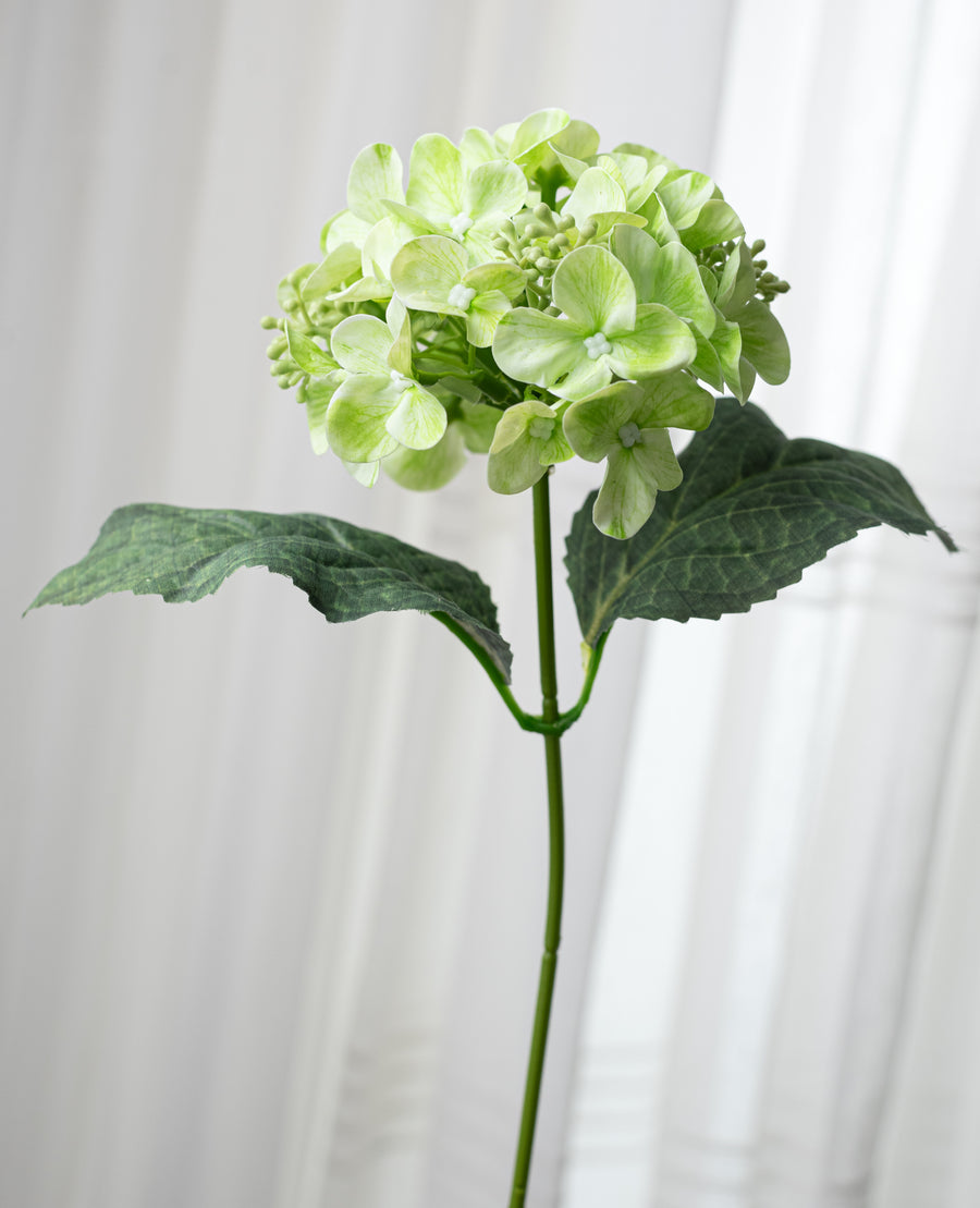 17" Hydrangea Bush: Green (5 Stem)