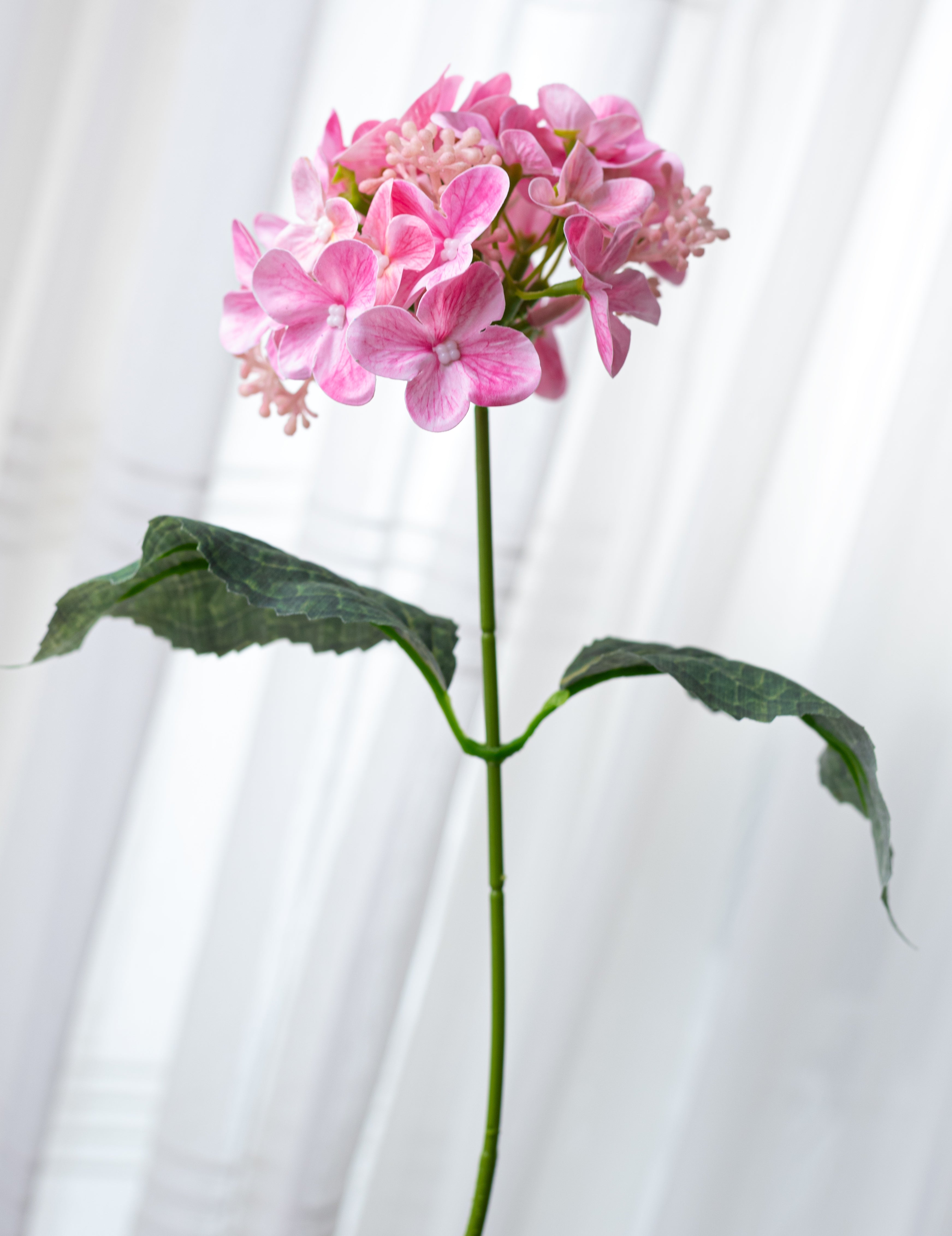 17" Hydrangea Bush: Pink (5 Stem)