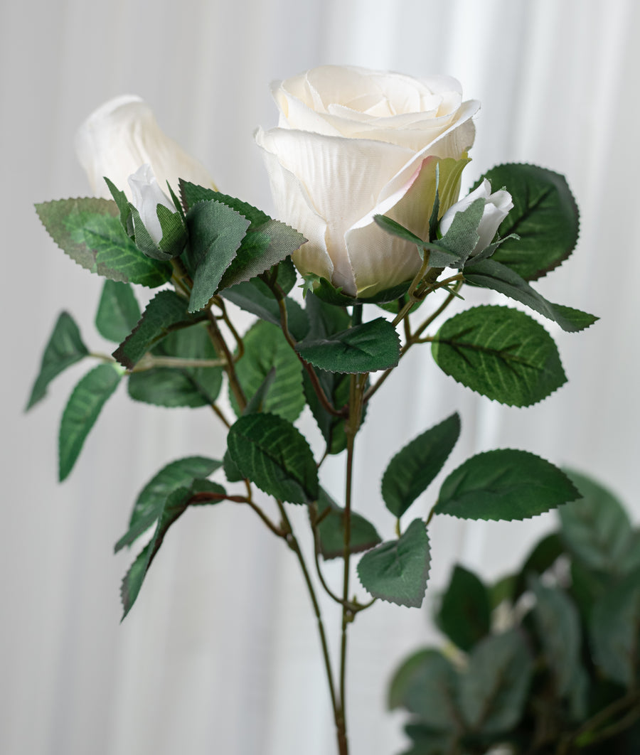 18" Harper Rose Bush: Cream (10 Stem)