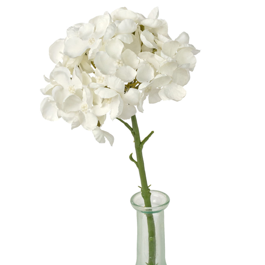 13" English Hydrangea Stem: Cream White