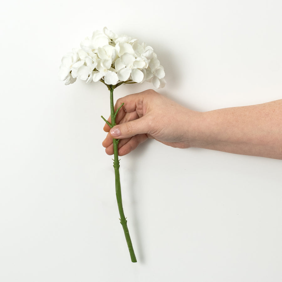 13" English Hydrangea Stem: Cream White