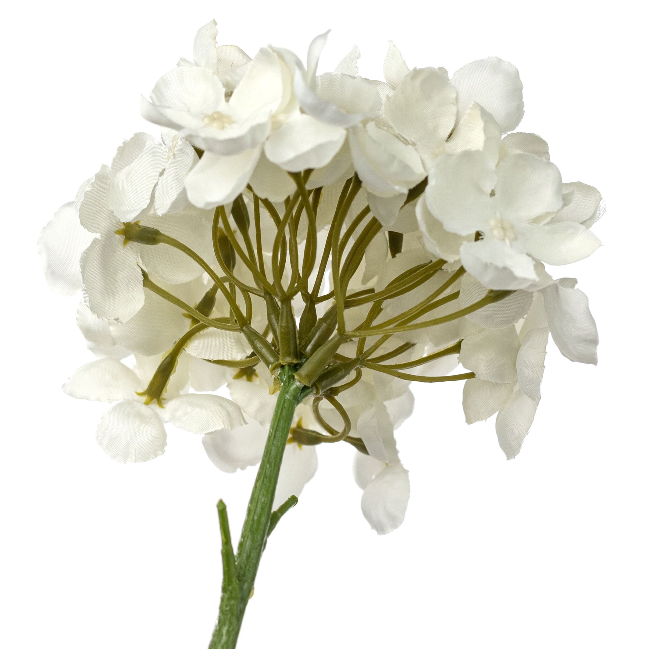 13" English Hydrangea Stem: Cream White