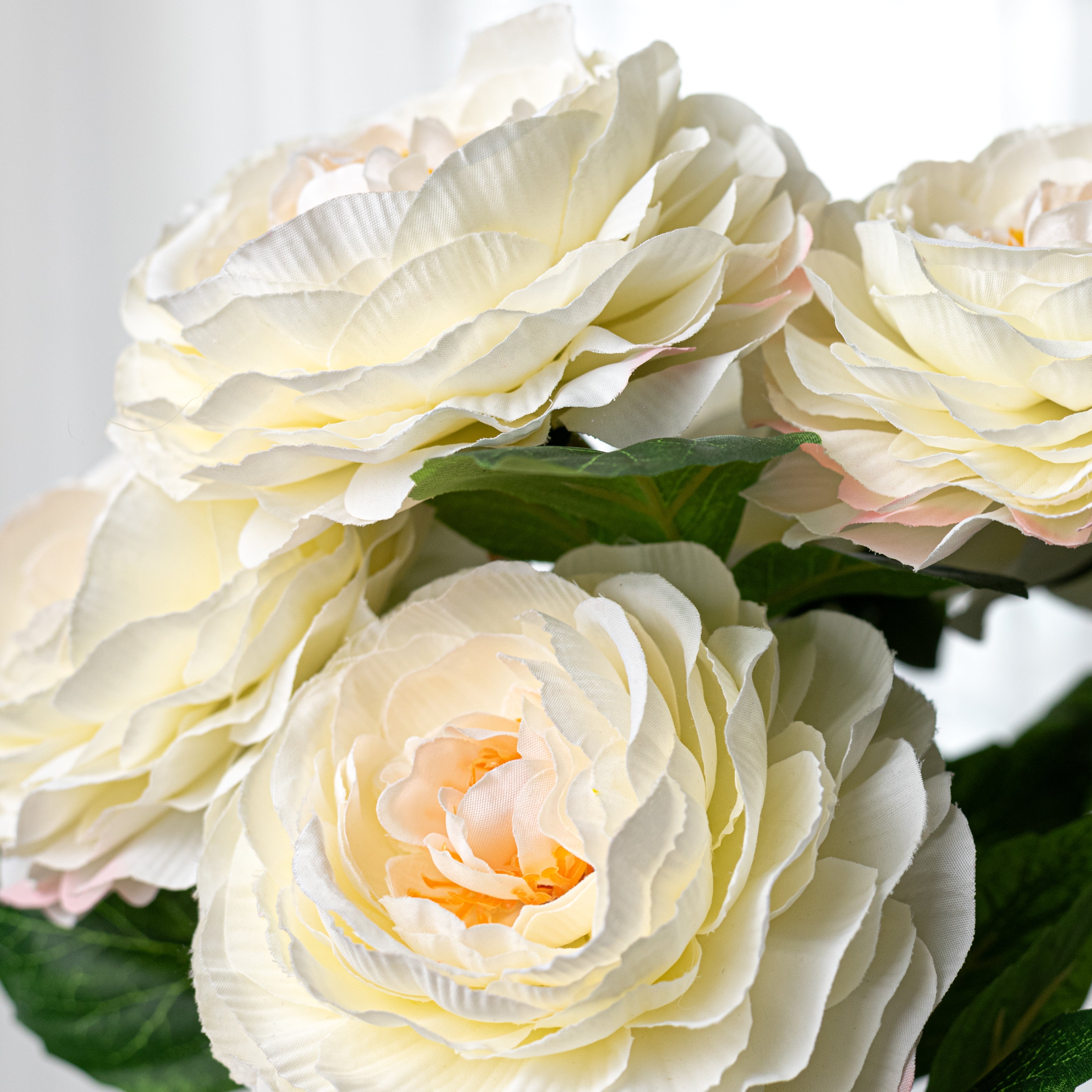 19" Ranunculus Bush: Cream (6 Stem)