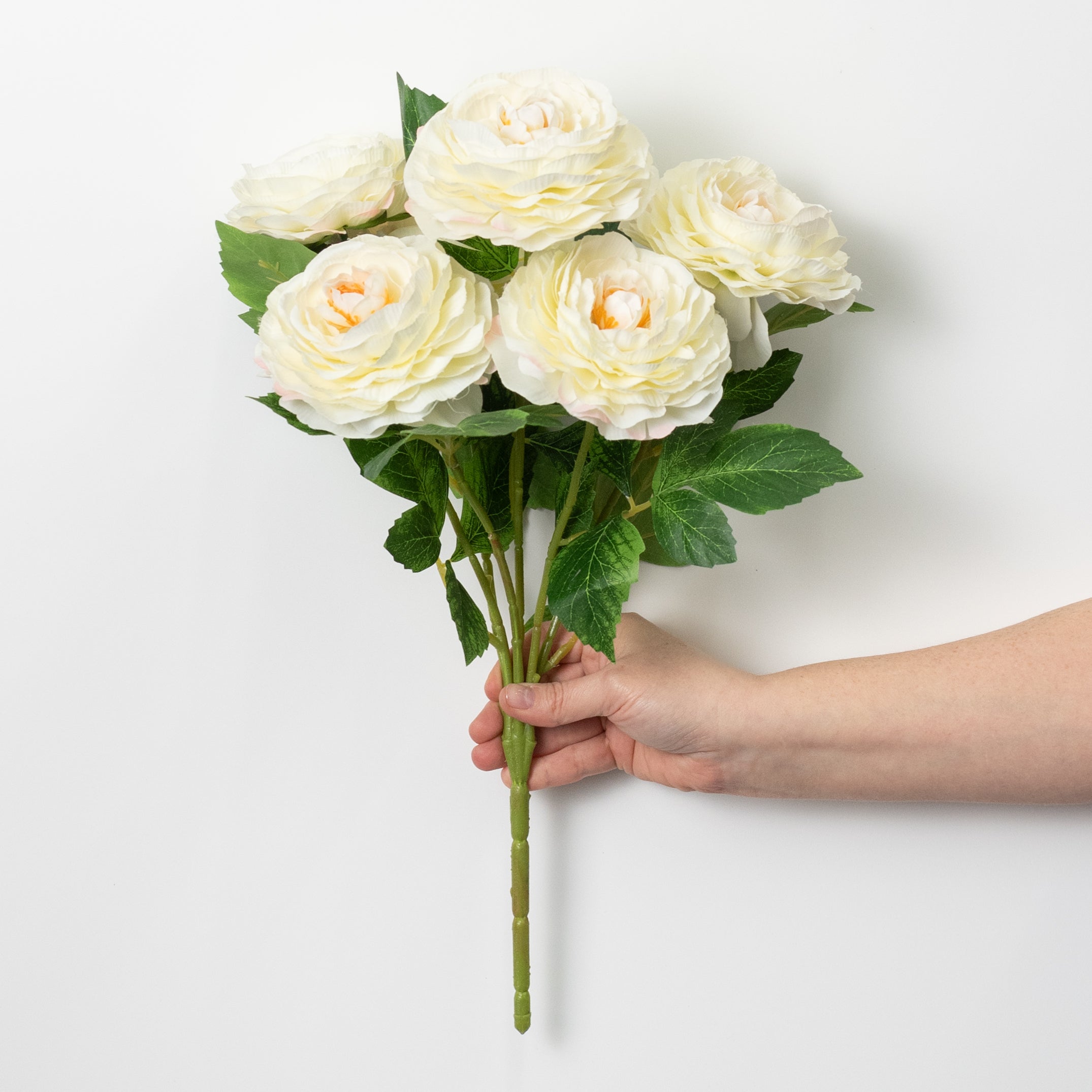 19" Ranunculus Bush: Cream (6 Stem)