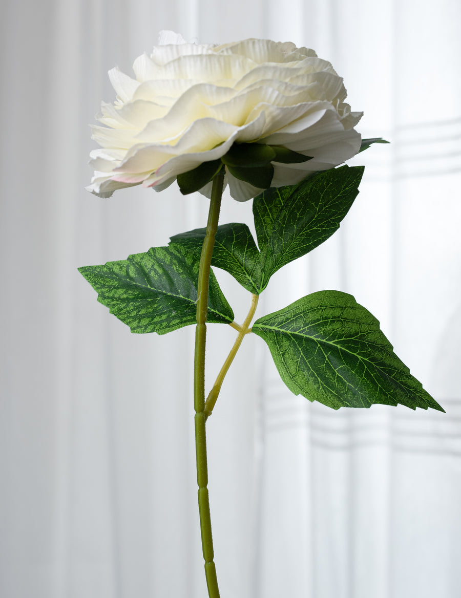 19" Ranunculus Bush: Cream (6 Stem)
