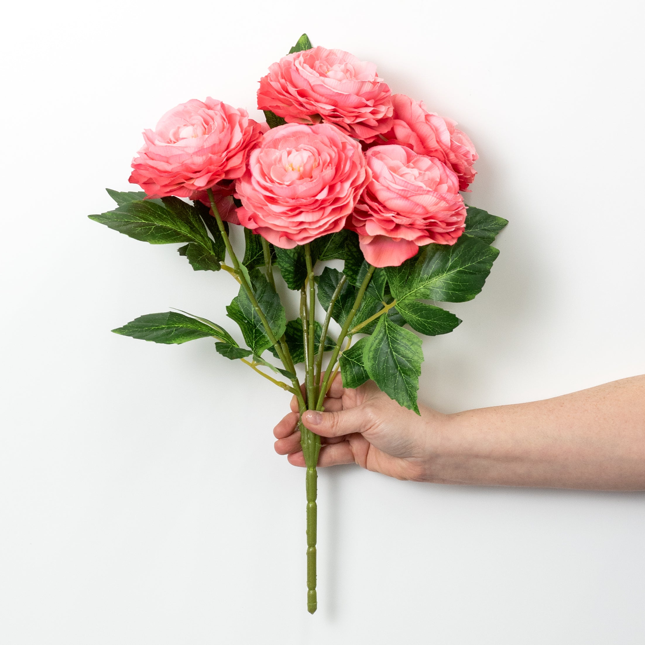 19" Ranunculus Bush: Hot Pink (6 Stem)