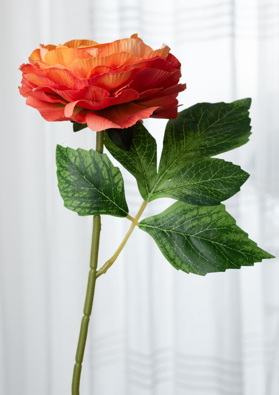 19" Ranunculus Bush: Orange (6 Stem)