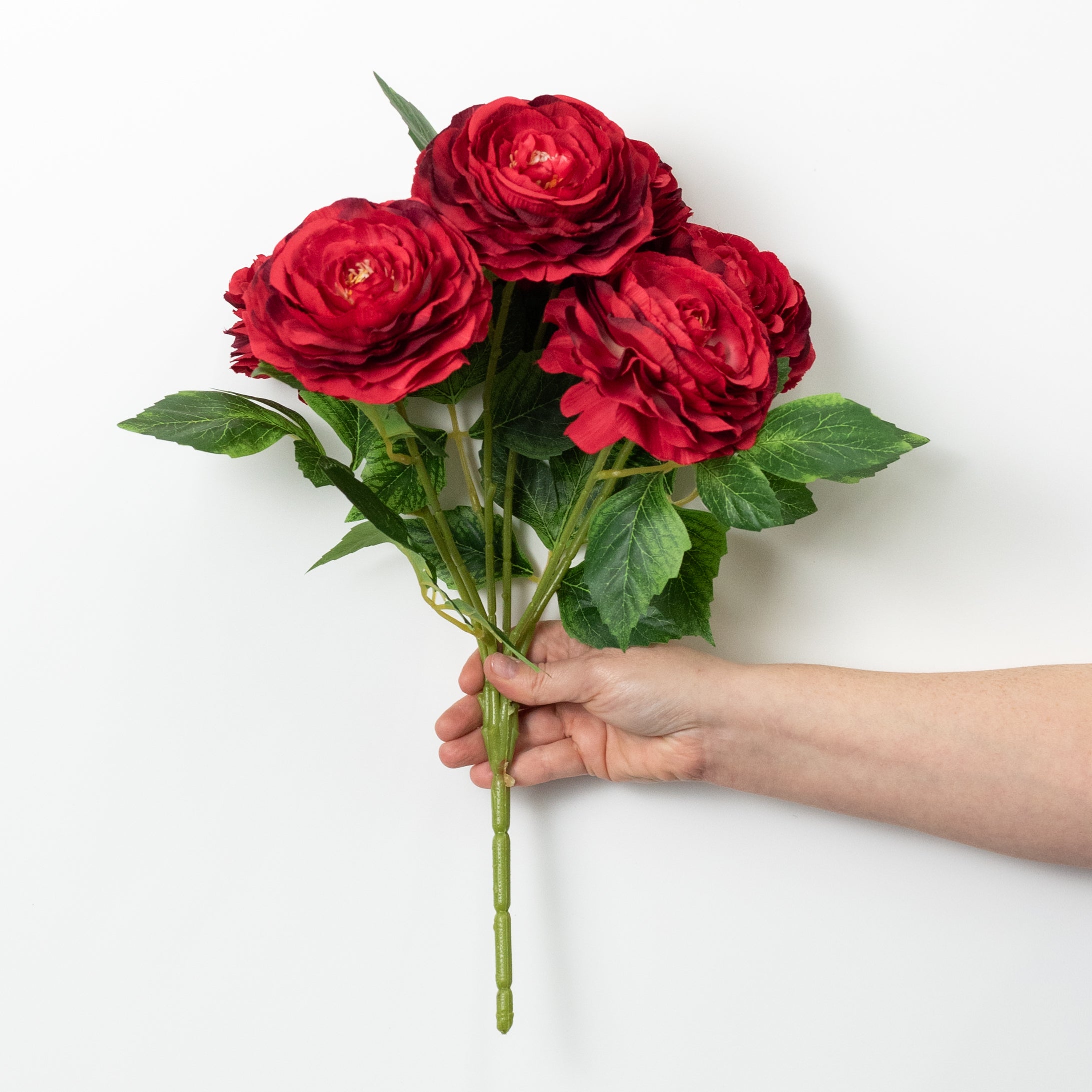 19" Ranunculus Bush: Red (6 Stem)