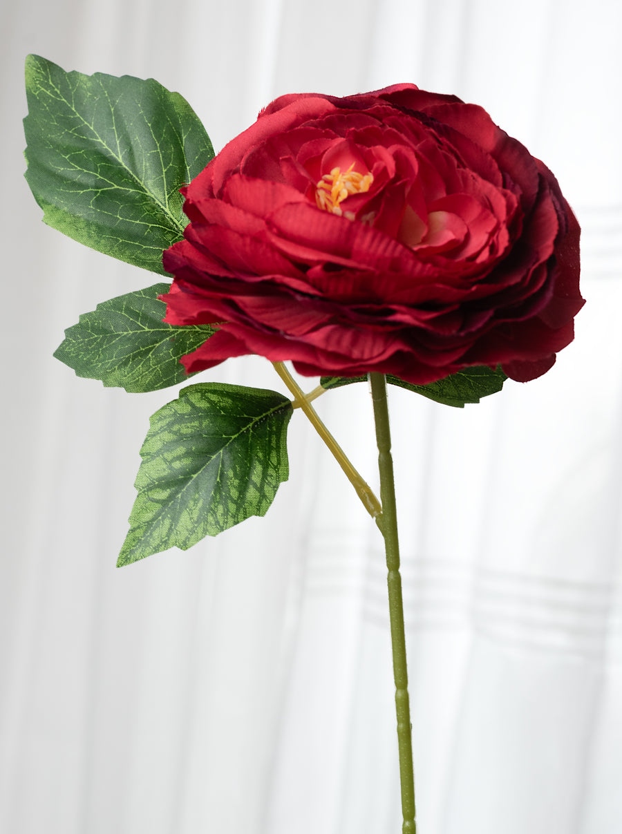 19" Ranunculus Bush: Red (6 Stem)