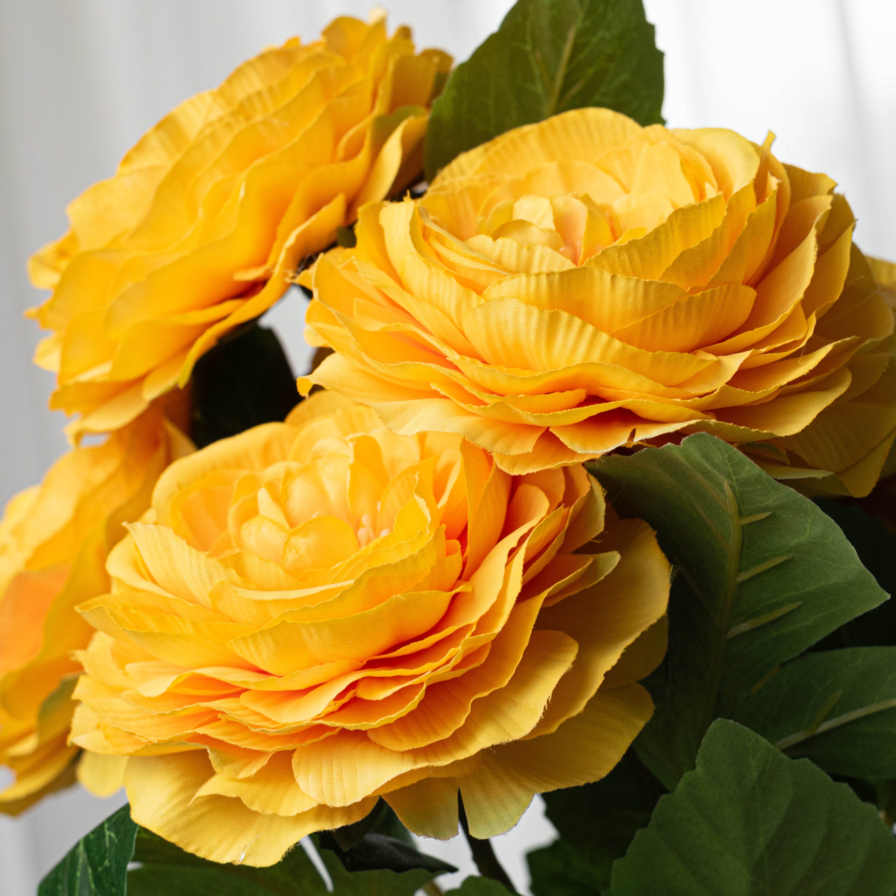 19" Ranunculus Bush: Golden Yellow (6 Stem)