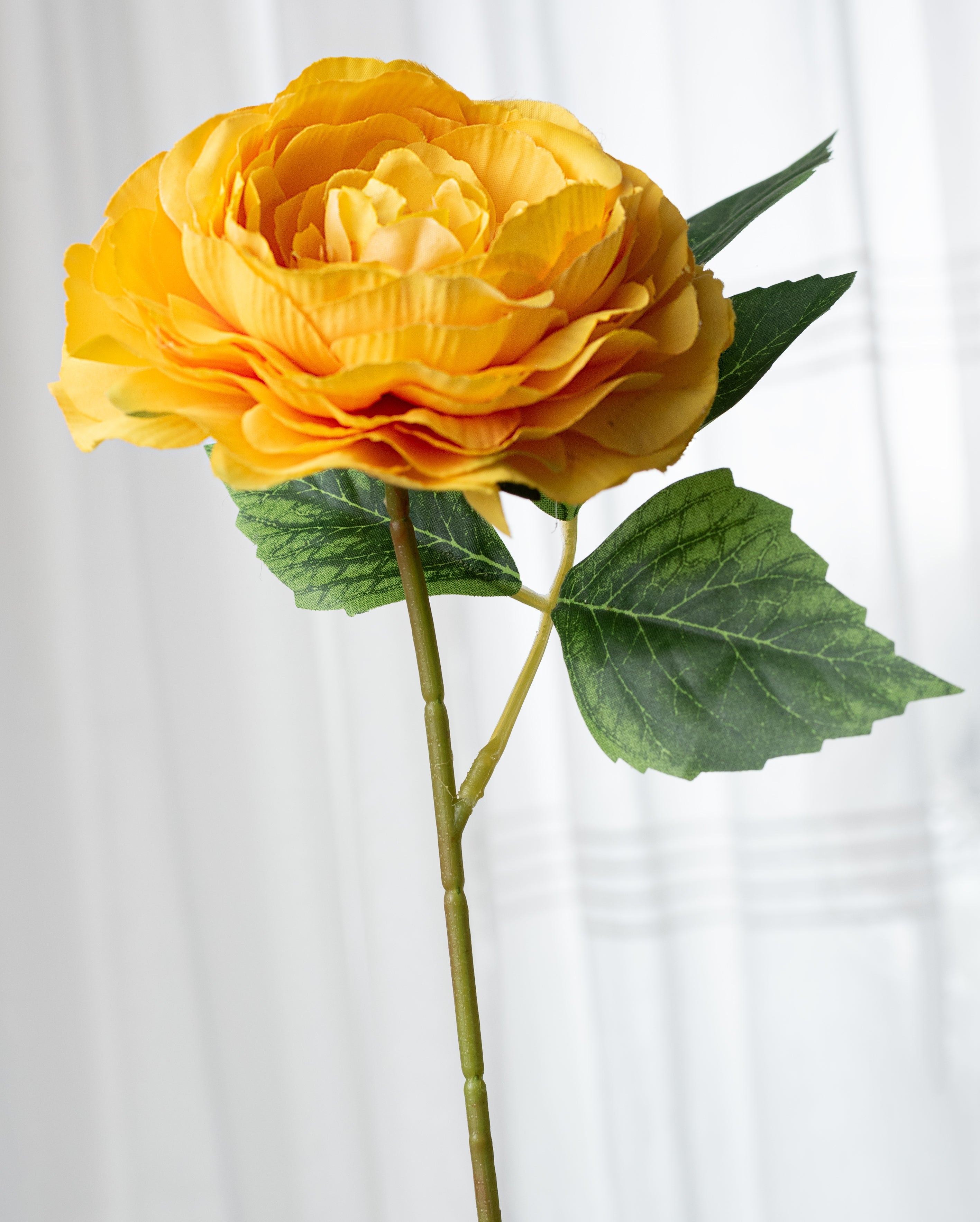 19" Ranunculus Bush: Golden Yellow (6 Stem)