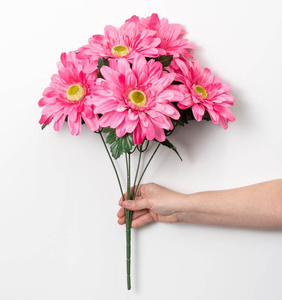 20" Gerber Daisy Bush: Bright Pink (5 Stem)