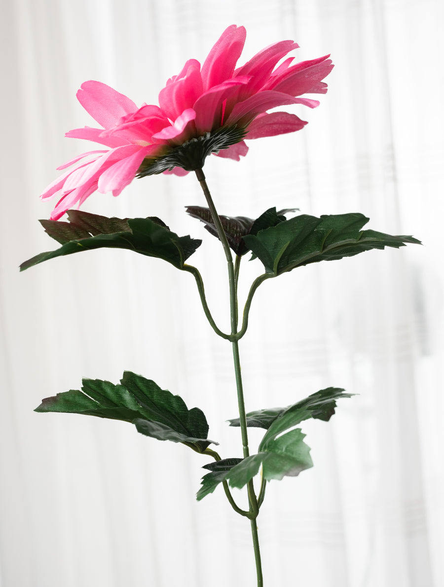 20" Gerber Daisy Bush: Bright Pink (5 Stem)