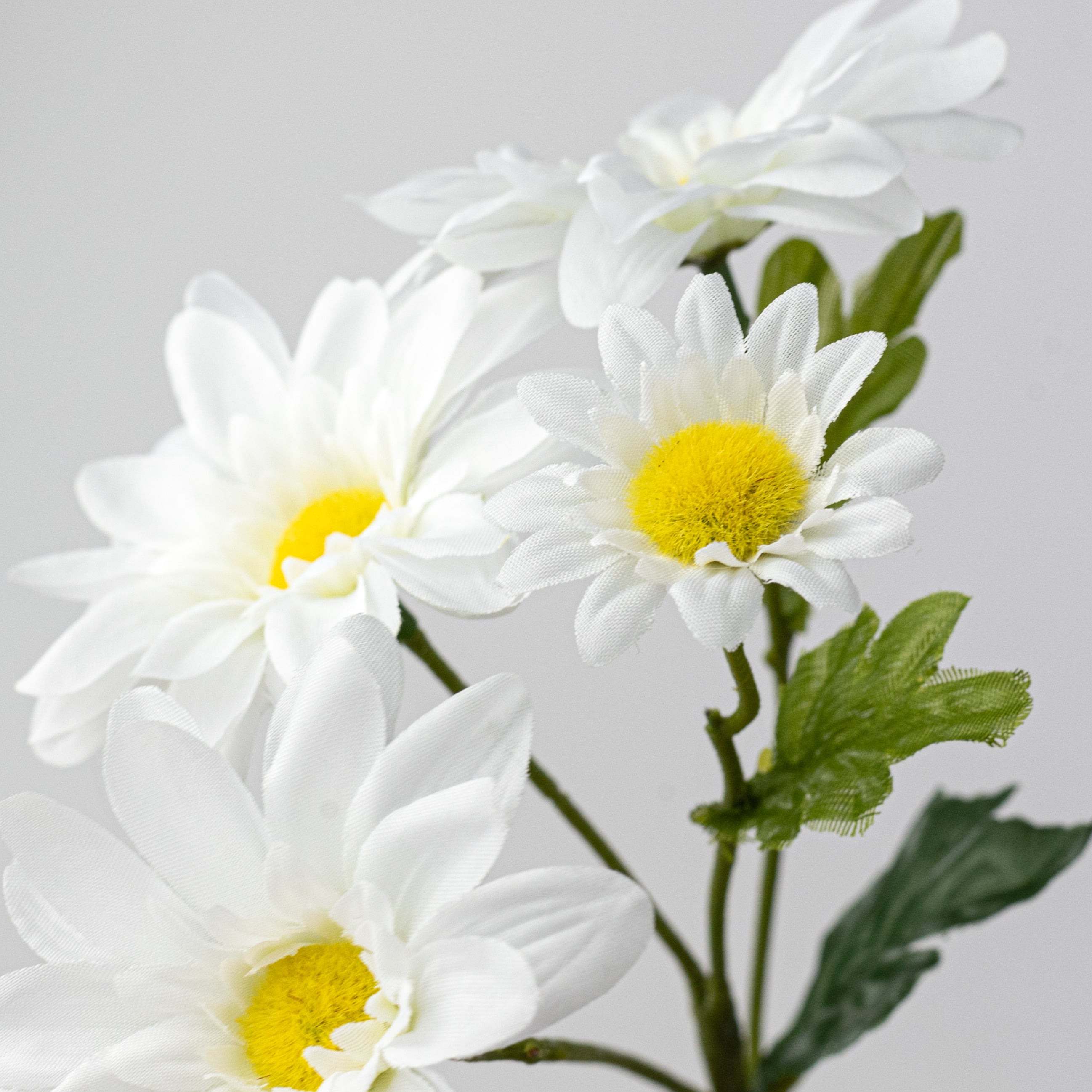 12" Daisy Spray: White