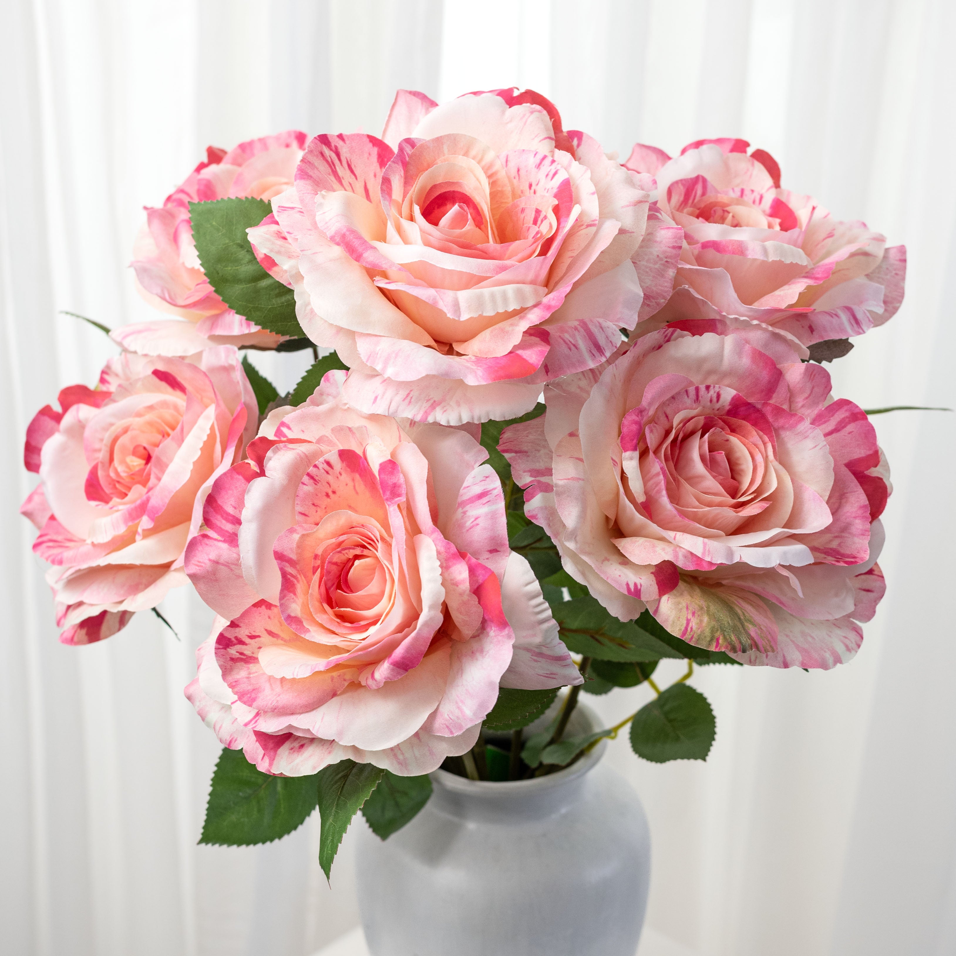 20" English Rose Bush: Variegated Pink & Cream (6 Stem)