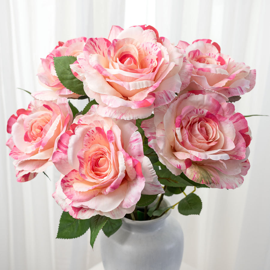 20" English Rose Bush: Variegated Pink & Cream (6 Stem)