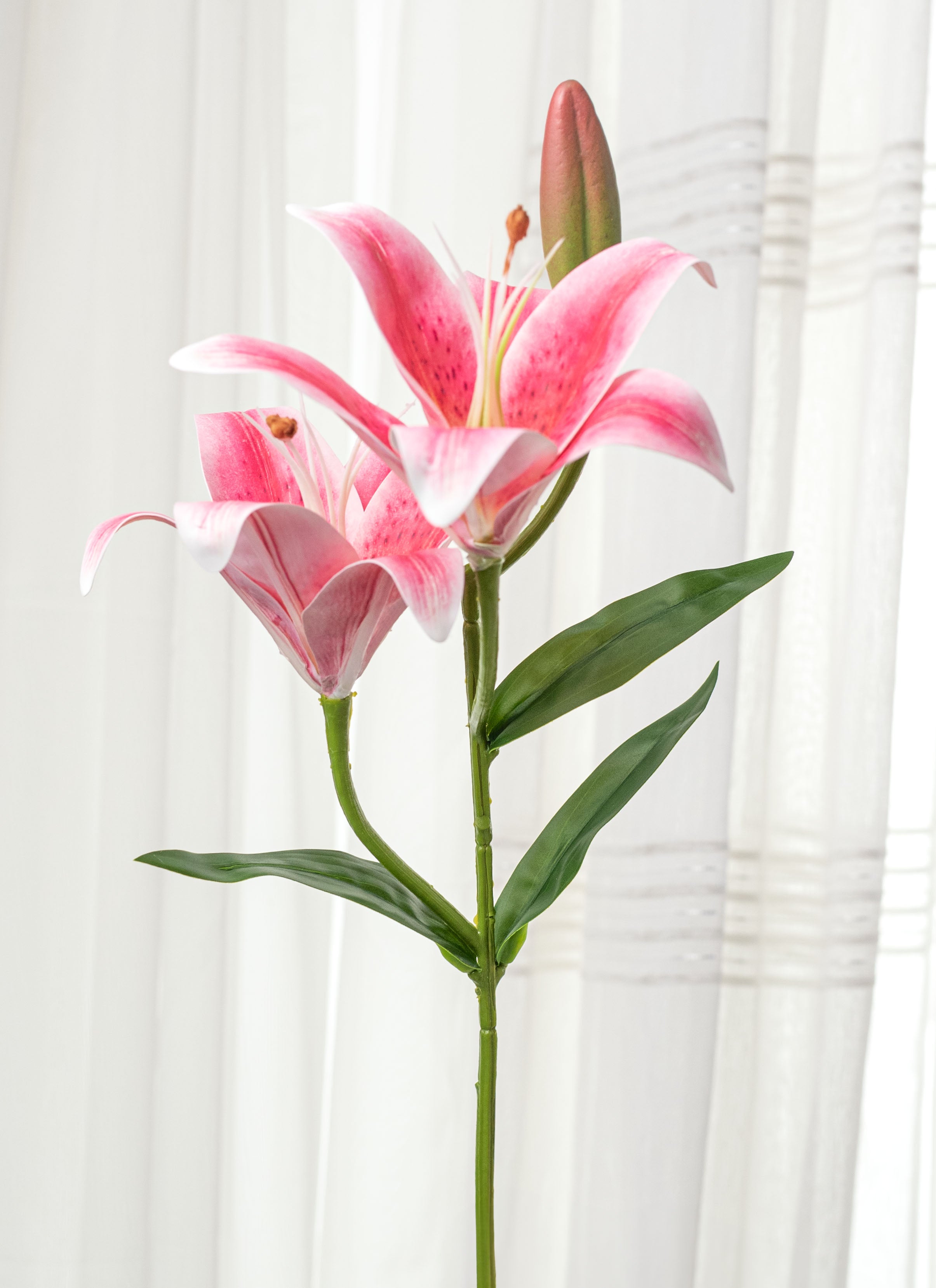 リリーページ Fiery Lily and Rose in Pomona NY - Ivy Cart Florist