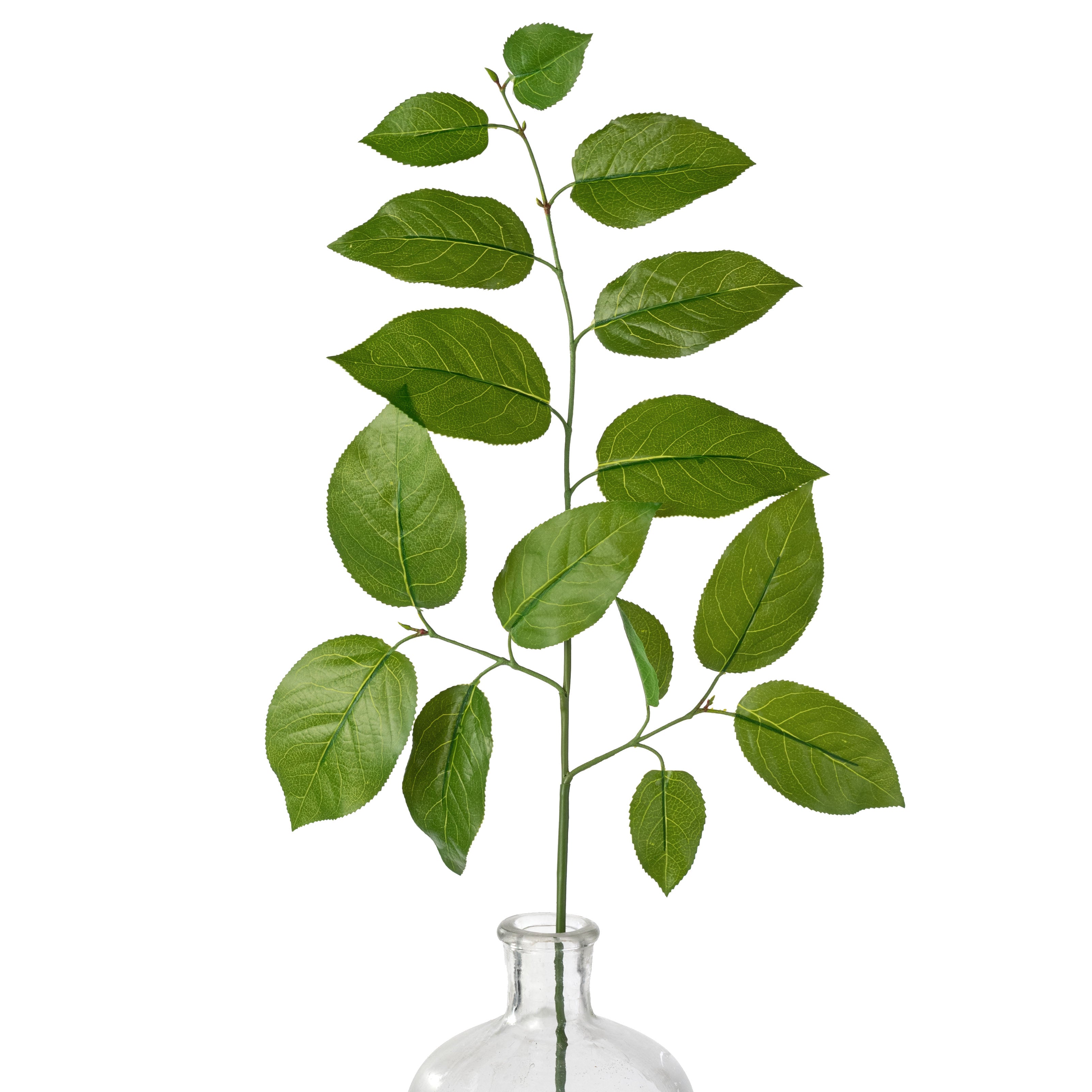 29" Salal Lemon Leaf Spray