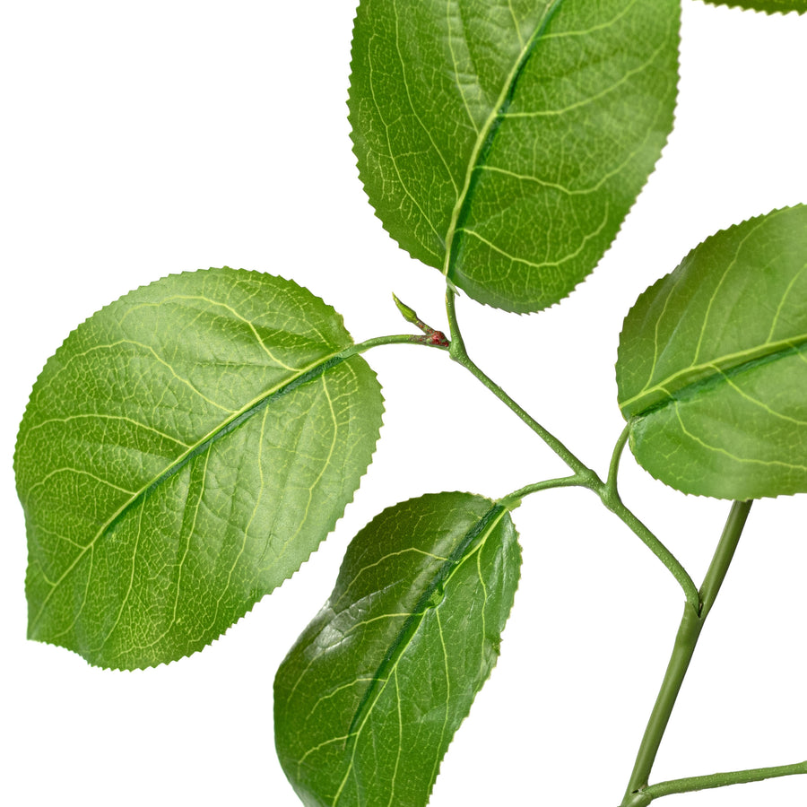 29" Salal Lemon Leaf Spray