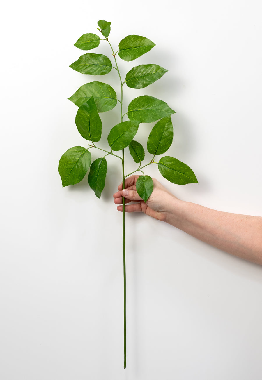 29" Salal Lemon Leaf Spray