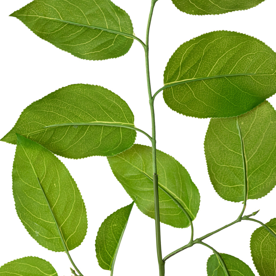 29" Salal Lemon Leaf Spray